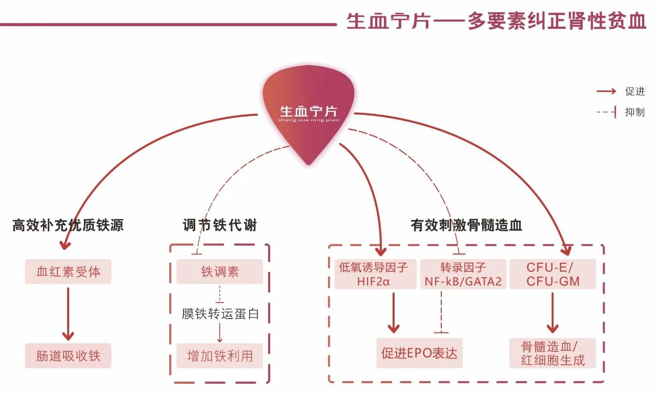 AGGAME·(中国区)集团官方网站